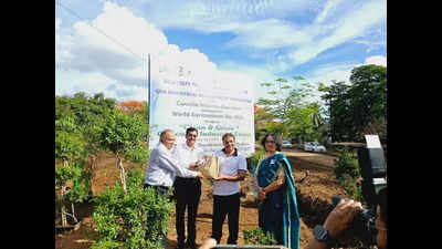 In a 1st, Cuncolim ind estate to use small plots for forestation