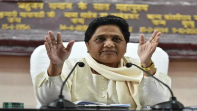 Muslim voters let BSP down, says Mayawati