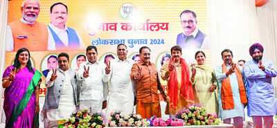 BJP will win next assembly poll in Delhi, claim 7 MPs; list their priorities