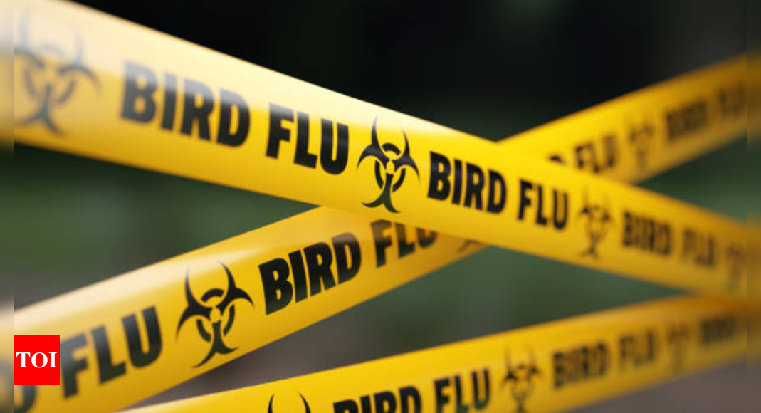 Bird Flu: WHO confirms first human death due to bird flu in Mexico |