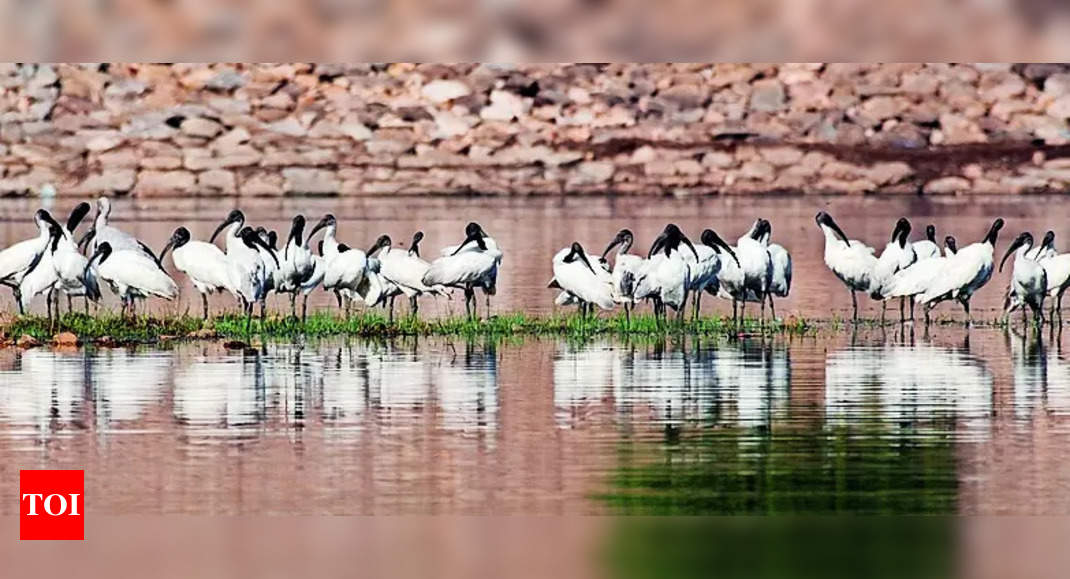 2 bird sanctuaries from Bihar added under Ramsar convention list