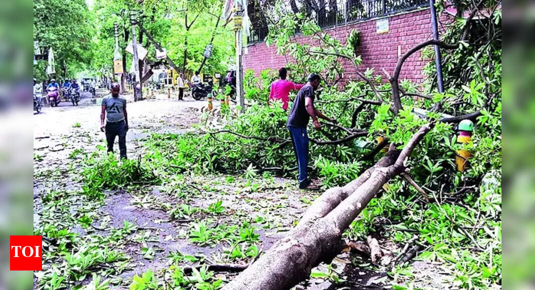 Storm: Early morning storm uproots trees & billboards, snaps power ...