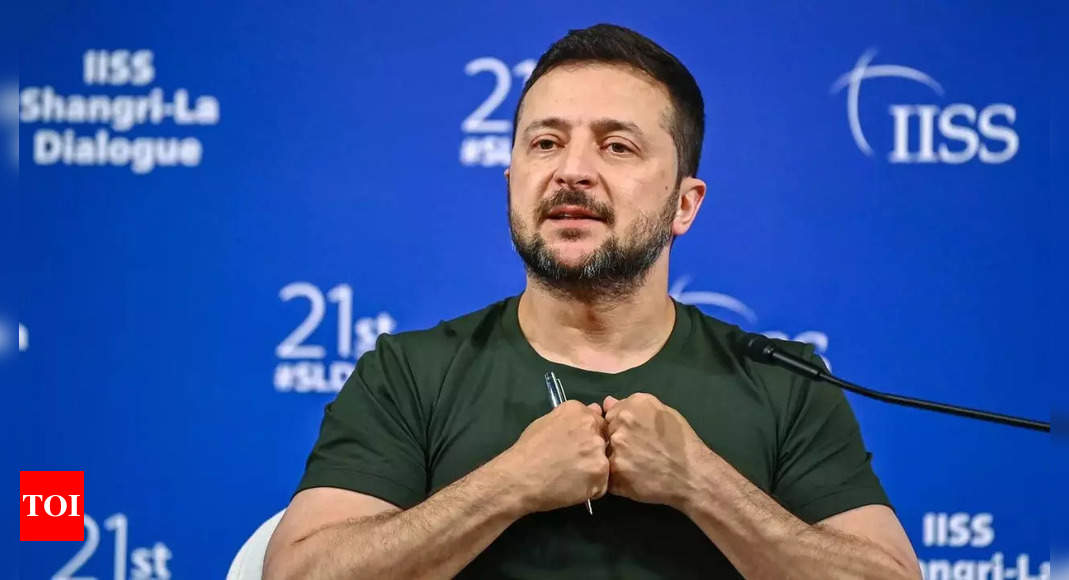 Zelenskyy to address French parliament after D-Day – Times of India