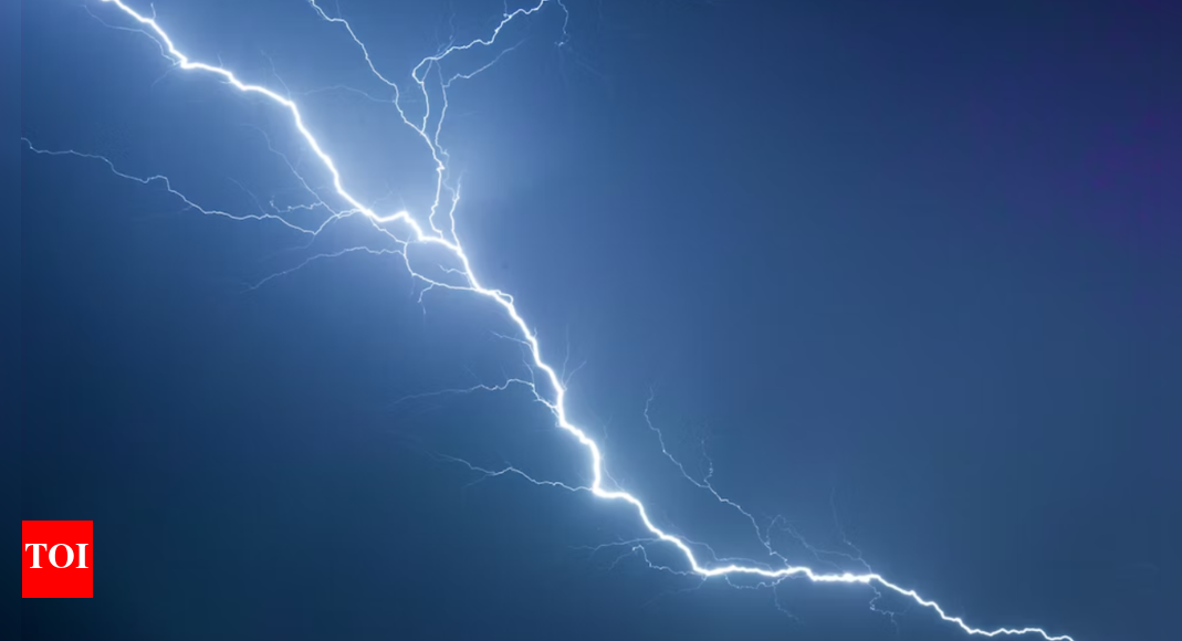 Lightning kills two in Medak, rain death toll reaches 30 | Hyderabad News - Times of India