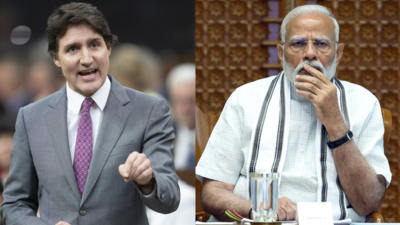 India second significant foreign threat to Canada's democracy: Report