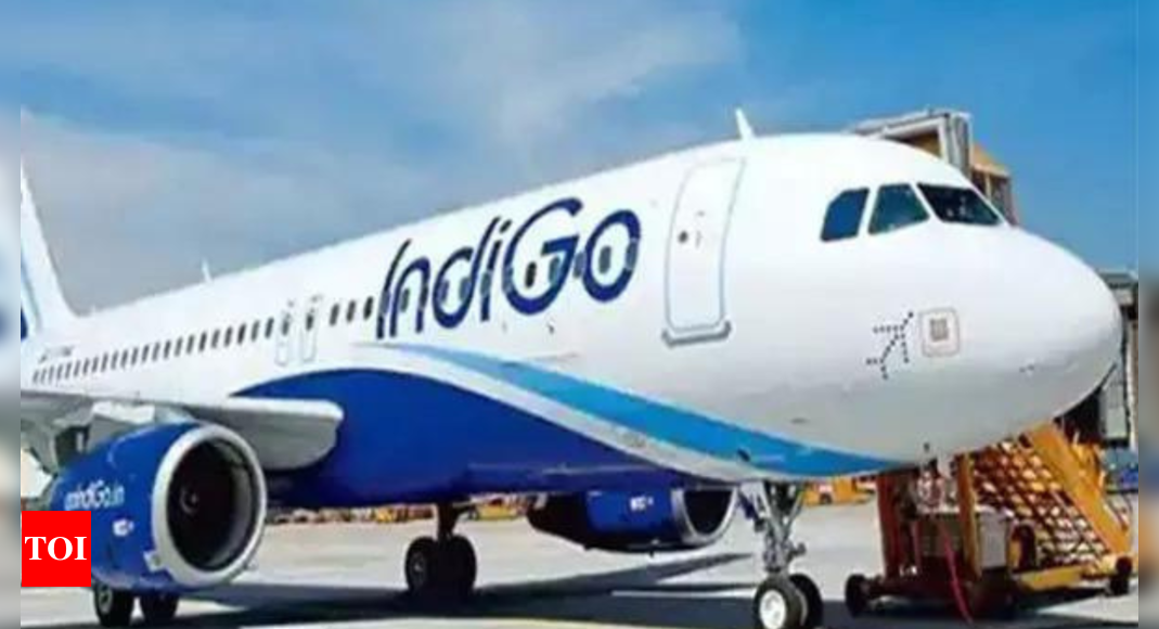 IndiGo announces doubling of flights from Delhi to Almaty and Tbilisi. – Times of India
