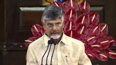 Lok Sabha elections 2024: TDP chief Chandrababu Naidu speech interpreted as demand for financial aid