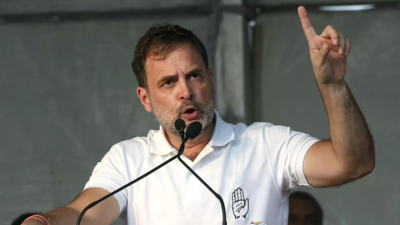 Rahul Gandhi gets bail in defamation case filed by Karnataka BJP man