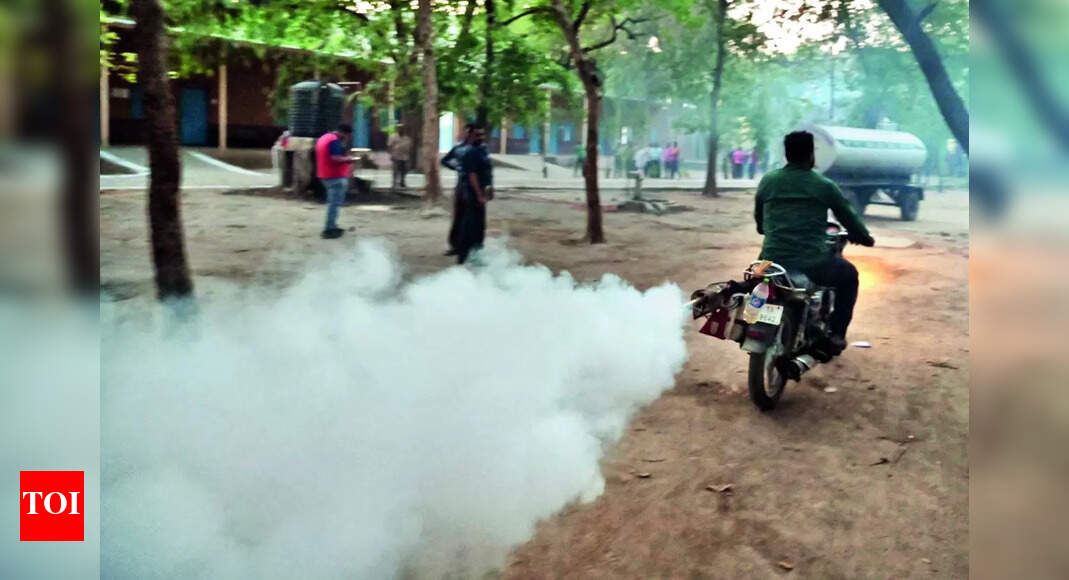 Dengue: Noida adds beds for dengue patients | Noida News - Vimarsana News
