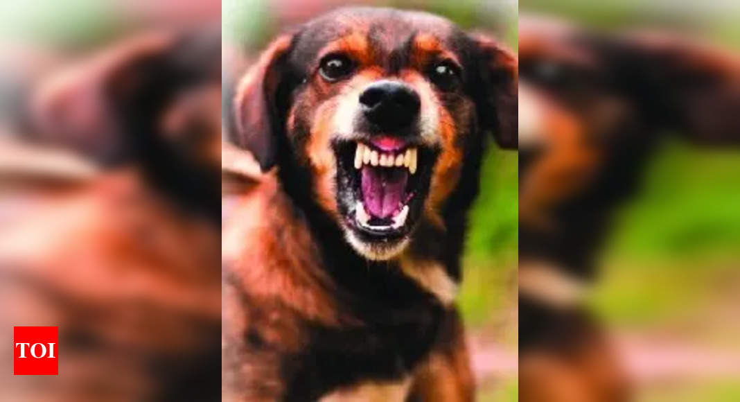80-year-old man dies, dogs & rodents eat away his body