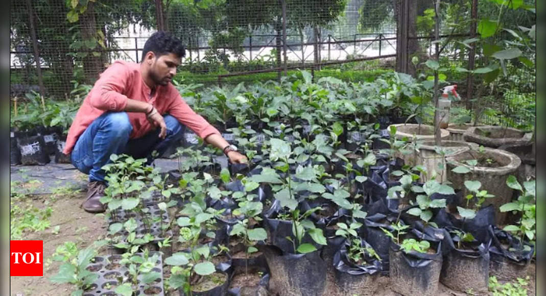 Chhattisgarh University Student Leads Conservation Research on Endangered Medicinal Trees