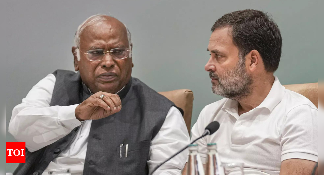 'Decisive rejection of politics of divisiveness': Kharge at CWC meet