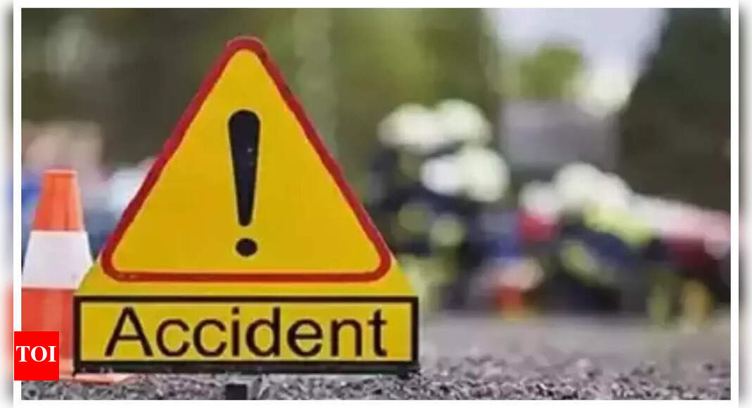 Bus overturns as driver dozes off, 3 pilgrims killed | Agra News - Vimarsana News