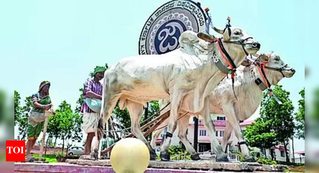 Fraudulent Appointment: KFU registrar gets notice over 'fraudulent appointment' | Hubballi News - Vimarsana News
