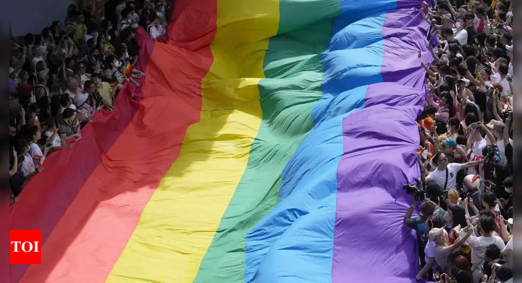 Sexual minorities demand equality in Nepal parade – Times of India