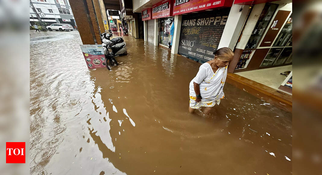 Two days of ‘red alert’ rain in Goa triggers waterlogging, tree falls ...
