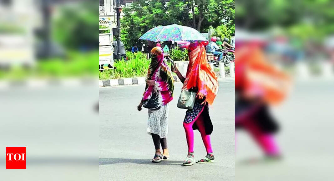 Hot And Humid Weather: Brace for hot and humid weather till June 14: IMD | Bhubaneswar News - Vimarsana News