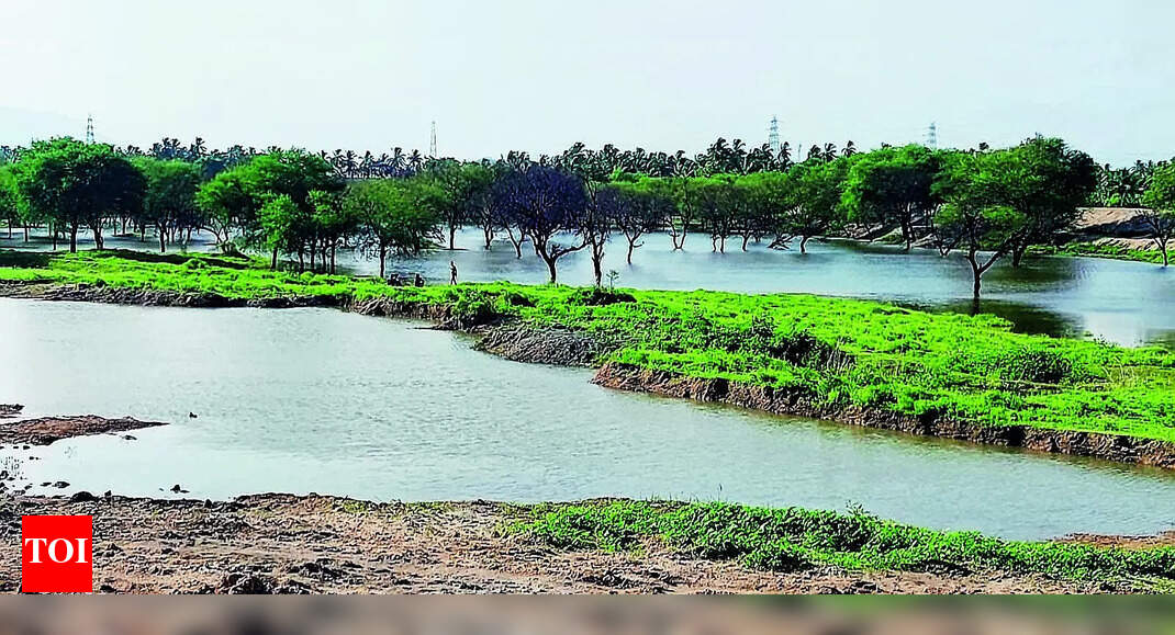 Allikulam Tank: Residents oppose plan to link sewage pipes to Allikulam tank | Coimbatore News - Vimarsana News