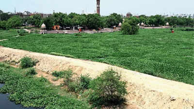 Sewage water chokes Gomti, leaves it gasping for breath in Lucknow