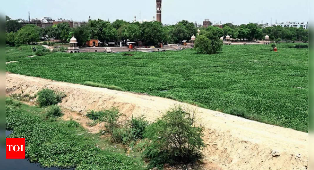 Gomti River: Sewage water chokes Gomti, leaves it gasping for breath ...