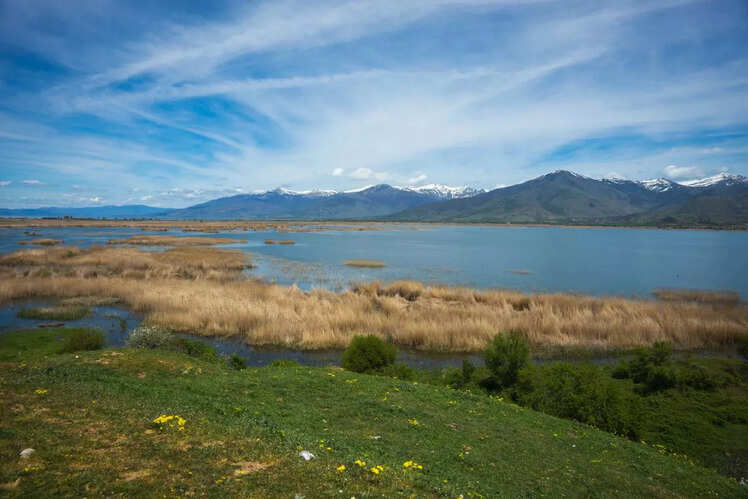 O'Higgins/San Mart&iacute;n Lake, Chile/Argentina - 2,742 ft