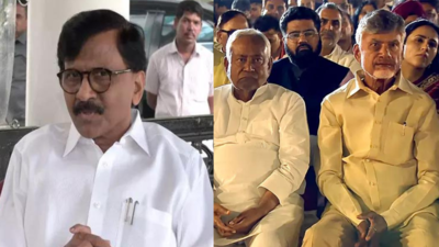 'Dissatisfied souls': Sanjay Raut on Naidu & Nitish after portfolio ...