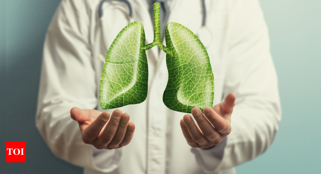 6 herbs that help clean lungs naturally