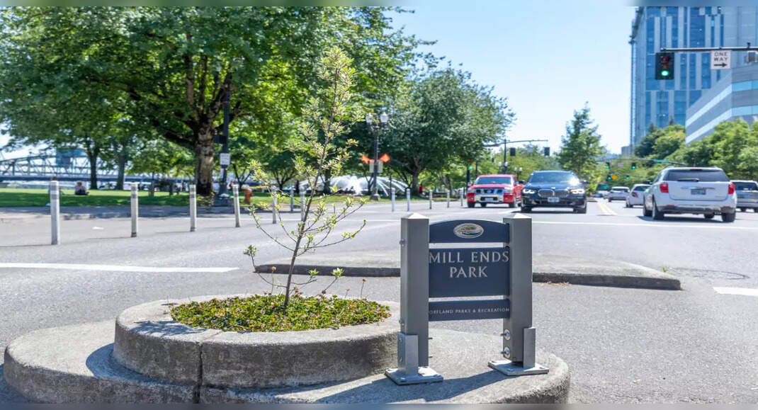 Mill Ends Park, Oregon Exactly how small is the world’s smallest park