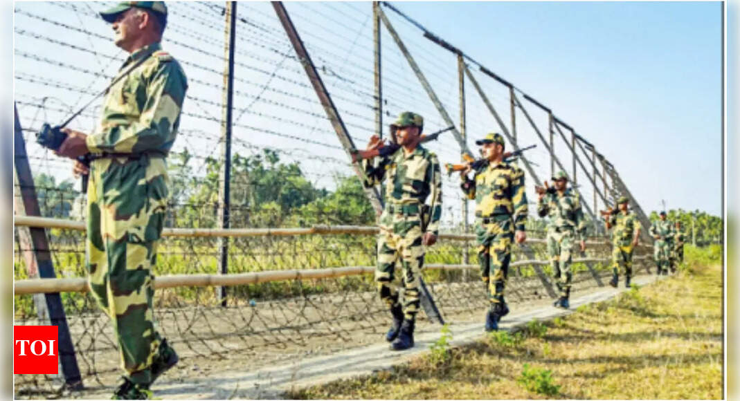 BSF jawan attacked by intruders from B'desh, battles for life | India News - Vimarsana News