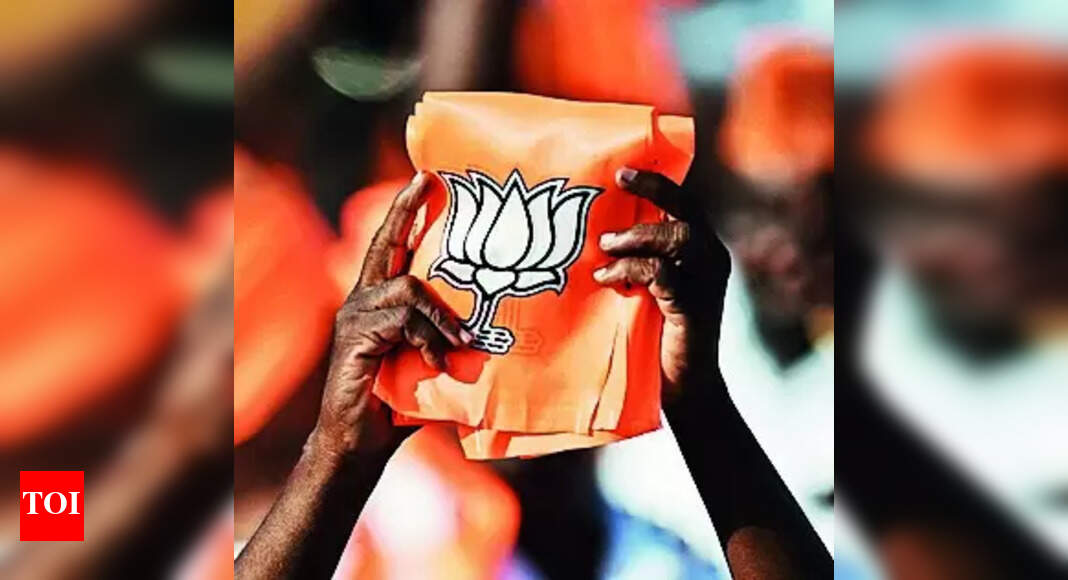 BJP: BJP may pick Dalit, woman or OBC with strong RSS links as new ...