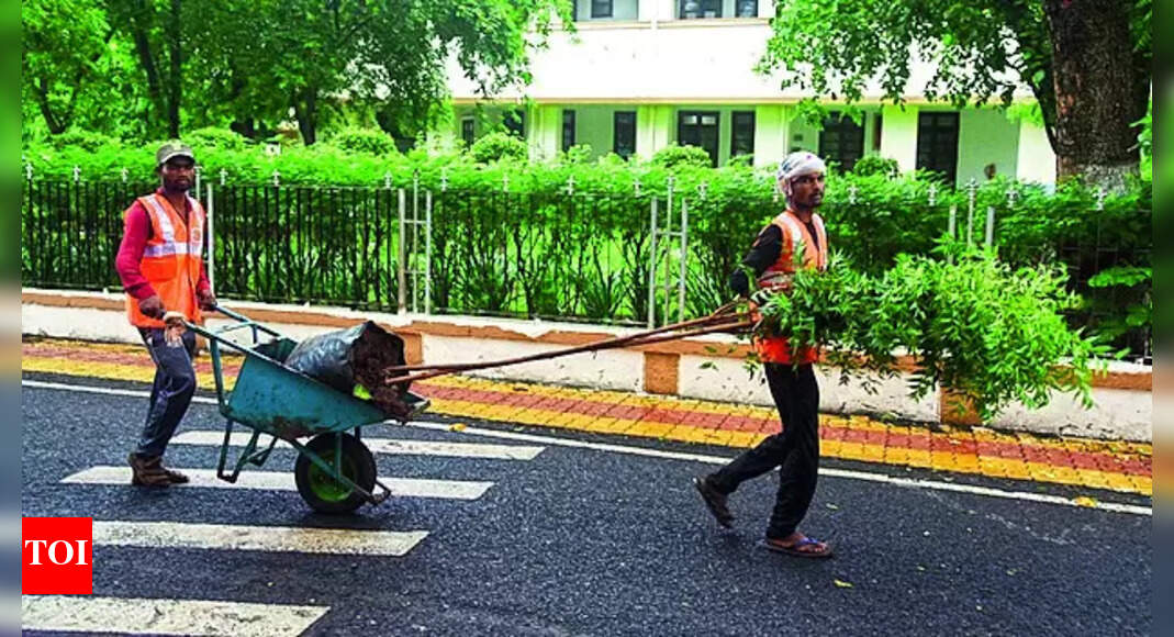 Green Karnataka Association: HDMC's help sought to extend green drive | Hubballi News - Vimarsana News