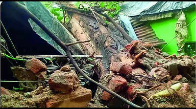 Lightning kills Nandgaon farm worker; bridge damaged in Latur