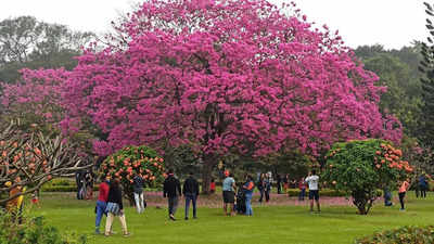 From today, 1,200 parks in Bengaluru to remain open from 5am to 10pm