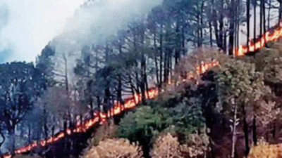 Haryana dept sniffs local hand behind Morni forest fires