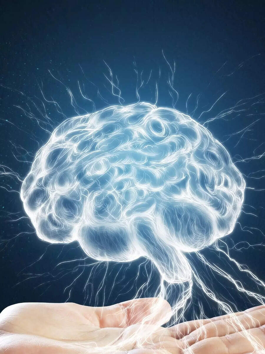  ஞாபக சக்தியை மேம்படுத்த தினமும் இந்த 5 பழக்க வழக்கங்களை கடைப்பிடிங்க! 