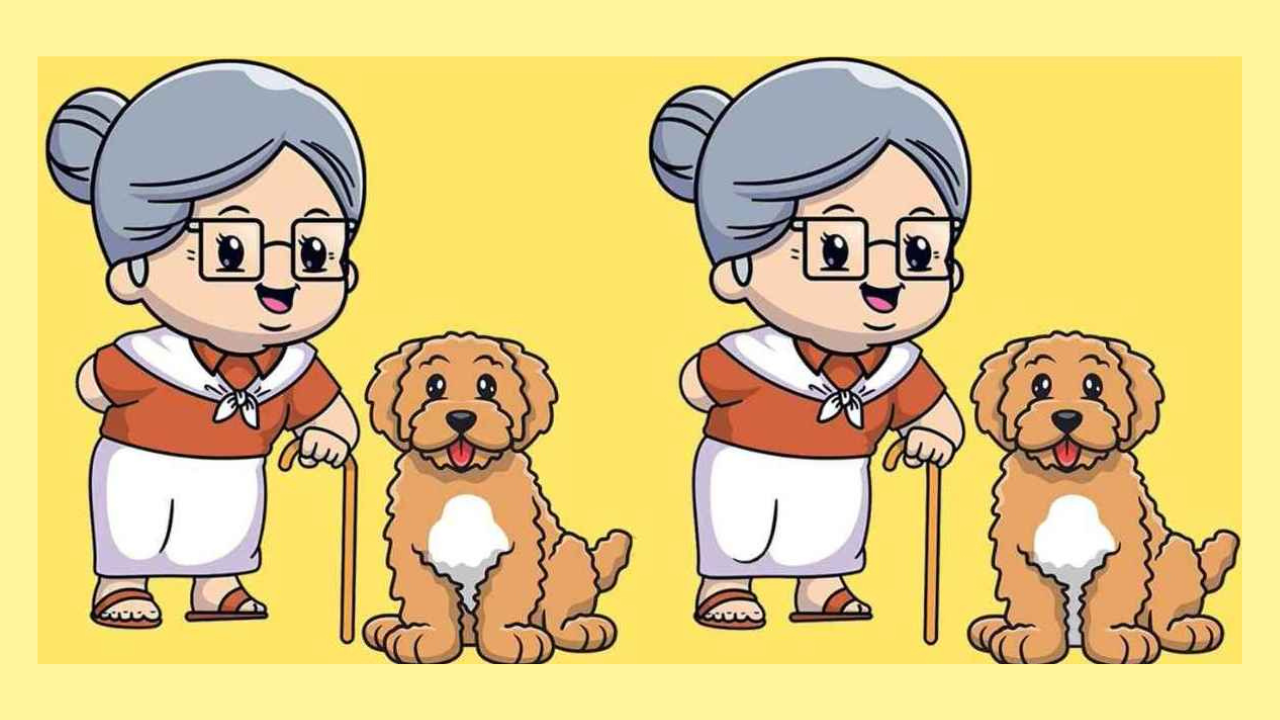 Optical Illusion: Are you smart enough to find 3 differences between the  grandma and the dog? | - Times of India