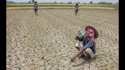 Bengal Farmers: Bengal Government Releases ₹293 Crore to 2.1 Lakh ...