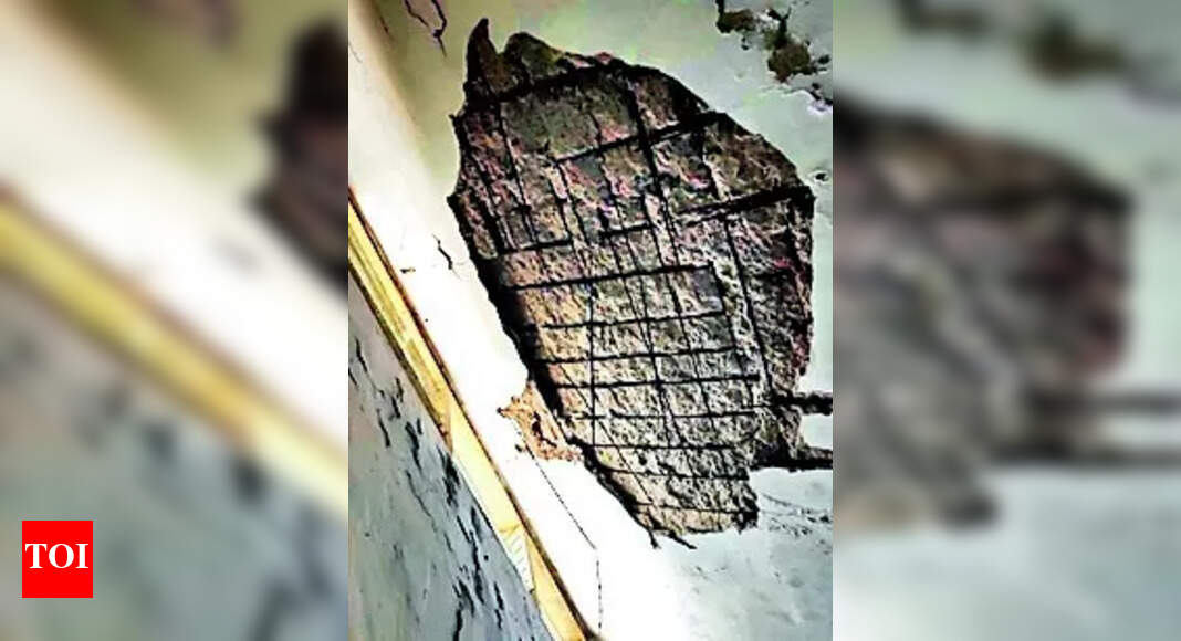 Plaster Chunks: Plaster chunks fall off repaired GU building ...