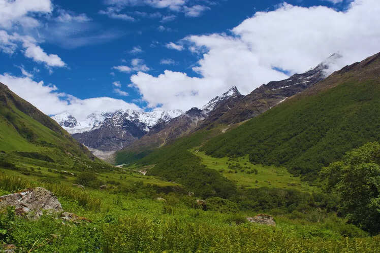 Valley of Flowers, Uttarakhand
