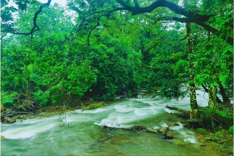 Coorg, Karnataka