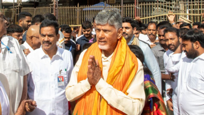 AP's new CM Naidu expresses concerns over sorry state of affairs at Tirumala