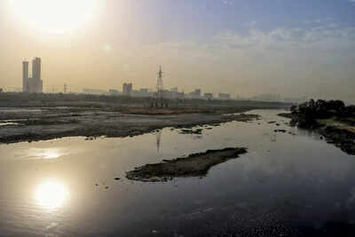 Supreme Court tells Yamuna Board to decide on Delhi's plea for more Haryana water ASAP