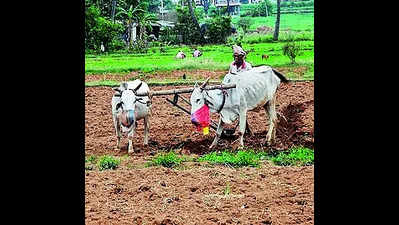 Unique IDs to help state farmers avail benefits from govt