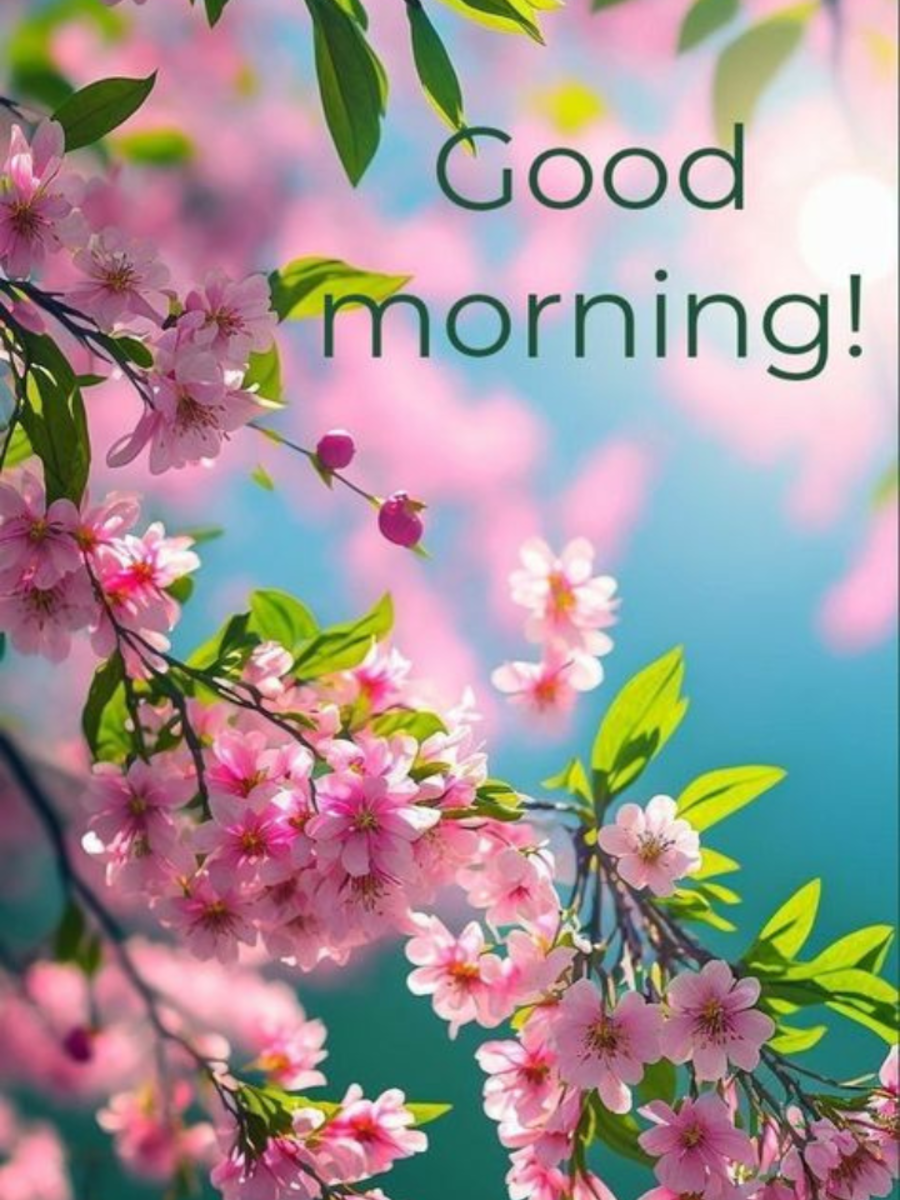 Beautiful Good Morning Messages For Your Family And Friends | Times Now