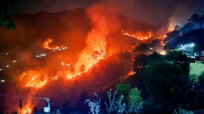 Uttarakhand government suspends CCF and DFO over Binsar fire that kills four