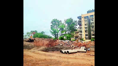 Garden: Garden and playground plots turn dumpyard & parking lot with ...