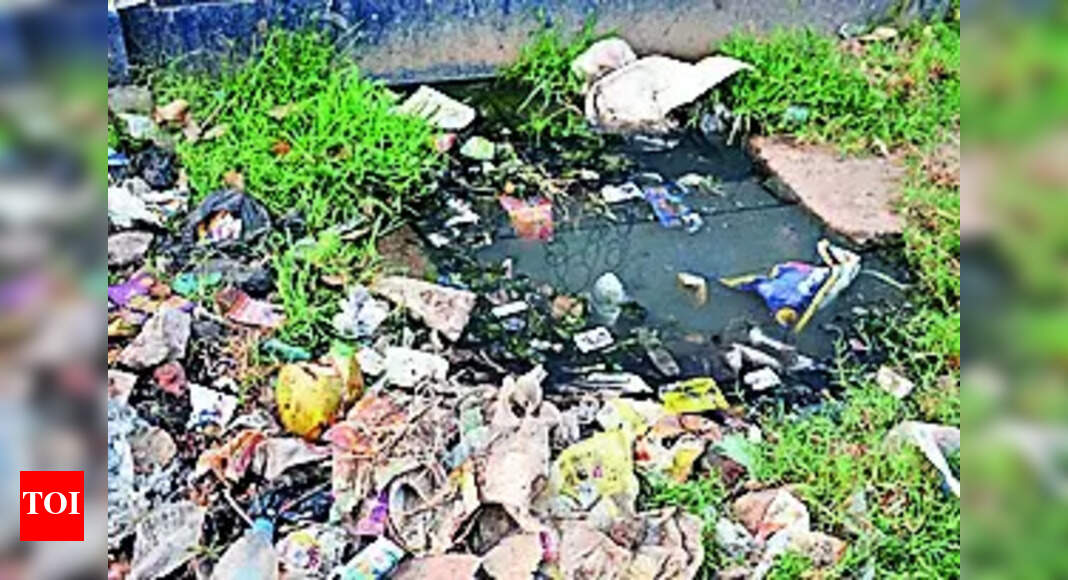 Dengue: JSR civic bodies start preparations to combat dengue | Ranchi News - Vimarsana News