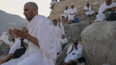 Muslim pilgrims pray on Mount Arafat in hajj climax