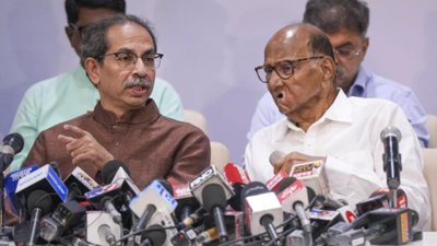 'Three Legs Of A Rickshaw': Uddhav Thackeray Targets NDA Govt With ...