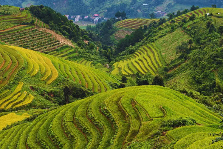 Sapa, Vietnam